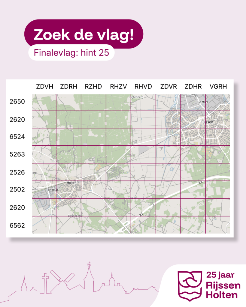 Plattegrond van de gemeente Rijssen-Holten, verdeeld in blokken. 
